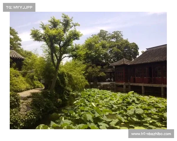 体育新闻标题制作艺术：从“蕊折”到“姑苏城外韩3-4”的经典案例